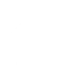 Van Ham Group